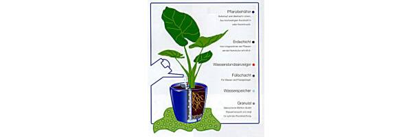 Erdpflanzen-Langzeitbewässerung