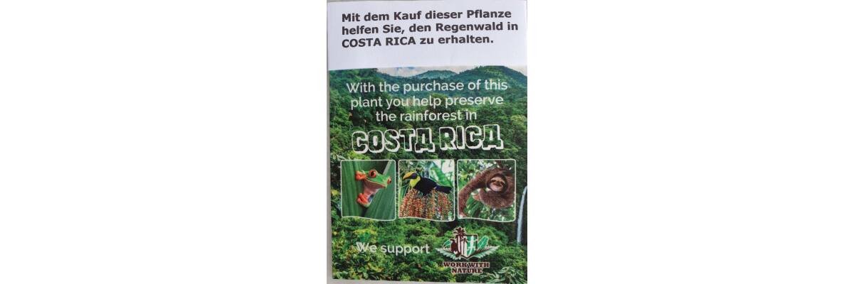 Helfen Sie uns dabei, den Regenwald in Costa Rica zu schützen? - 