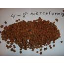 Blähton 25 Liter (1 - 4 mm) Pflanzensubstrat Anzucht und Stecklinge
