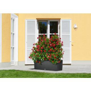 Eine Rangliste unserer Top Trio cottage 40