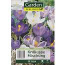 Krokusse - Mischung