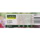 Crispa Tulpe