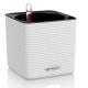Cube Color 14