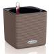 Cube Color 14