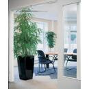 Lechuza Cubico ( 30 x 30 x 56 ) silber