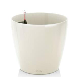 Lechuza Classico LB ( 50 x 47 (x31) )