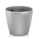 Lechuza Classico LB ( 50 x 47 (x31) )