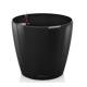 Lechuza Classico LB ( 50 x 47 (x31) )
