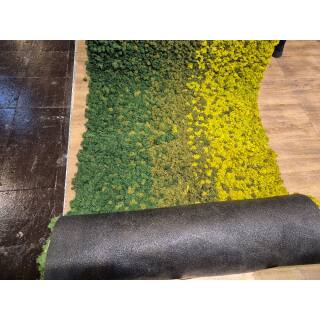 Moosteppich - pro laufender (1 m²)