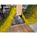 Moosteppich - pro laufender (1 m²)