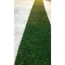 Moosteppich - pro laufender (1 m²)