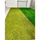 Moosteppich - pro laufender (1 m²)