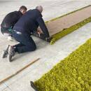 Moosteppich - pro laufender (1 m²)