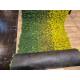 Moosteppich - pro laufender (1 m²)